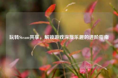 玩转Steam共享,解锁游戏深度乐趣的进阶指南