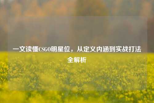 一文读懂CSGO明星位，从定义内涵到实战打法全解析