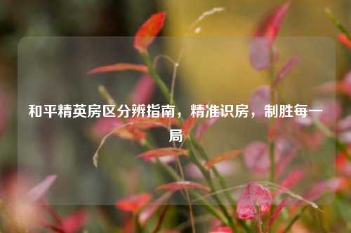 和平精英房区分辨指南，精准识房，制胜每一局