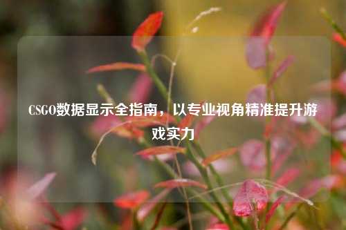 CSGO数据显示全指南,以专业视角精准提升游戏实力