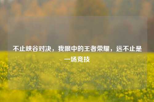 不止峡谷对决,我眼中的王者荣耀,远不止是一场竞技