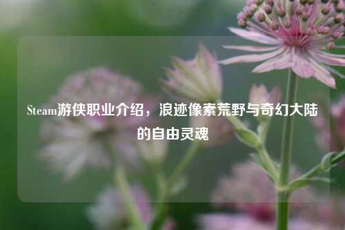 Steam游侠职业介绍,浪迹像素荒野与奇幻大陆的自由灵魂