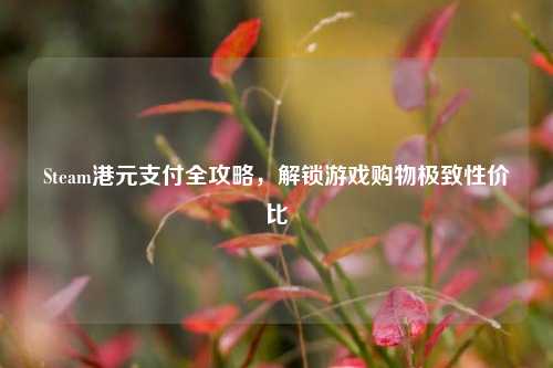 Steam港元支付全攻略，解锁游戏购物极致性价比