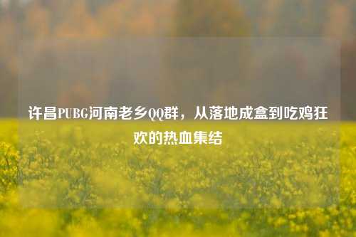 许昌PUBG河南老乡QQ群，从落地成盒到吃鸡狂欢的热血集结