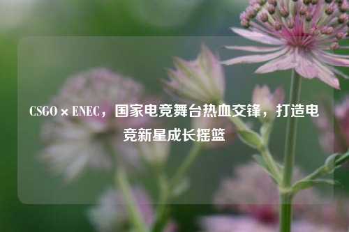 CSGO×ENEC，国家电竞舞台热血交锋，打造电竞新星成长摇篮