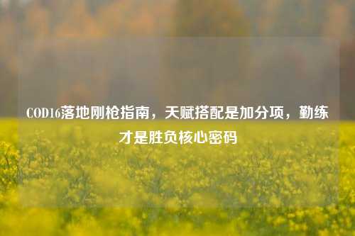 COD16落地刚枪指南,天赋搭配是加分项,勤练才是胜负核心密码