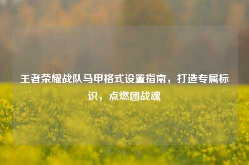 王者荣耀战队马甲格式设置指南，打造专属标识，点燃团战魂