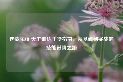 逆战SCAR-天王训练干货指南,从基础到实战的技能进阶之路