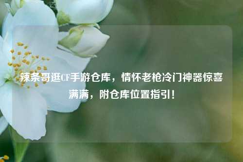 辣条哥逛CF手游仓库，情怀老枪冷门神器惊喜满满，附仓库位置指引！