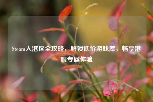 Steam入港区全攻略，解锁低价游戏库，畅享港服专属体验