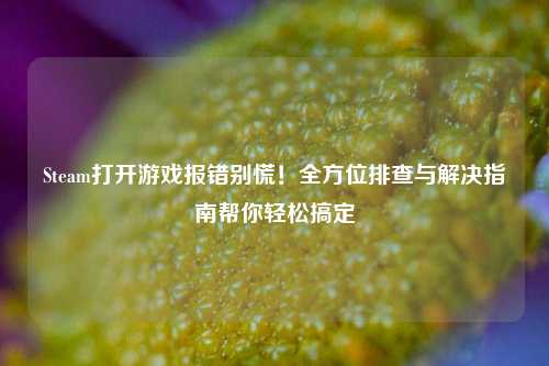 Steam打开游戏报错别慌！全方位排查与解决指南帮你轻松搞定