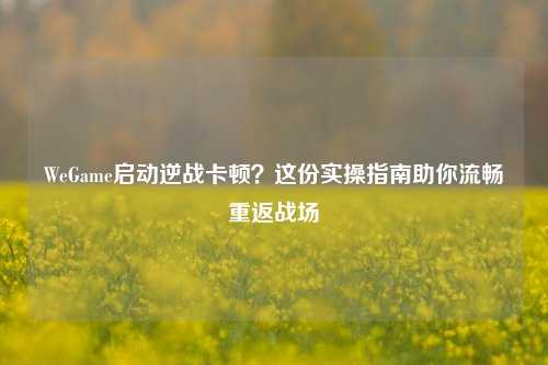 WeGame启动逆战卡顿？这份实操指南助你流畅重返战场