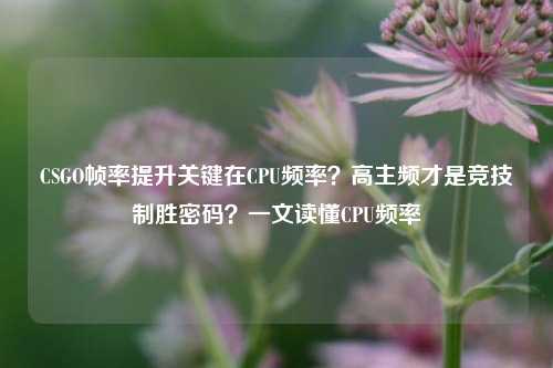 CSGO帧率提升关键在CPU频率？高主频才是竞技制胜密码？一文读懂CPU频率