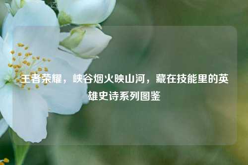 王者荣耀,峡谷烟火映山河,藏在技能里的英雄史诗系列图鉴
