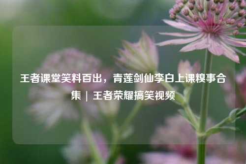 王者课堂笑料百出，青莲剑仙李白上课糗事合集 | 王者荣耀搞笑视频