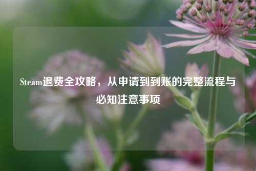 Steam退费全攻略,从申请到到账的完整流程与必知注意事项
