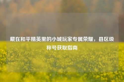 藏在和平精英里的小城玩家专属荣耀,县区级称号获取指南