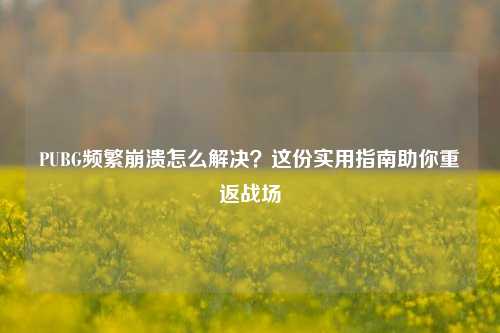 PUBG频繁崩溃怎么解决?这份实用指南助你重返战场