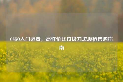CSGO入门必看,高性价比垃圾刀垃圾枪选购指南