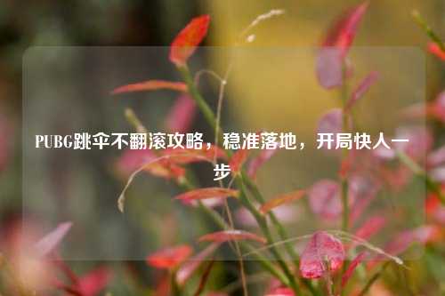 PUBG跳伞不翻滚攻略,稳准落地,开局快人一步