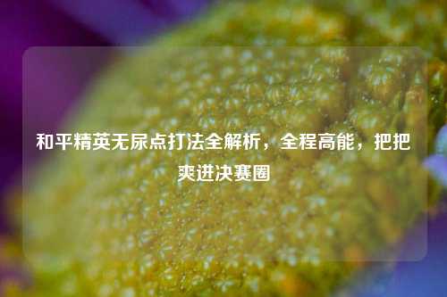 和平精英无尿点打法全解析，全程高能，把把爽进决赛圈
