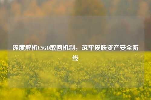 深度解析CSGO取回机制，筑牢皮肤资产安全防线