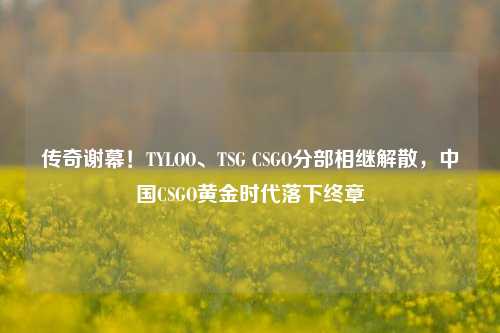 传奇谢幕！TYLOO、TSG CSGO分部相继解散，中国CSGO黄金时代落下终章