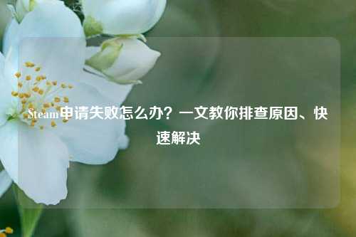 Steam申请失败怎么办?一文教你排查原因、快速解决