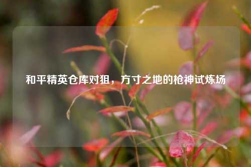 和平精英仓库对狙，方寸之地的枪神试炼场