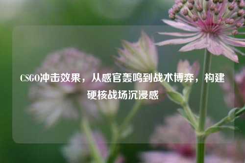 CSGO冲击效果，从感官轰鸣到战术博弈，构建硬核战场沉浸感