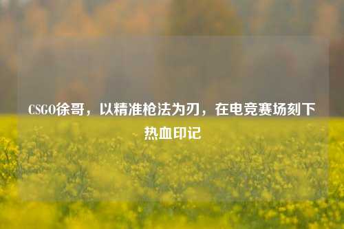 CSGO徐哥，以精准枪法为刃，在电竞赛场刻下热血印记