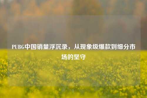 PUBG中国销量浮沉录,从现象级爆款到细分市场的坚守