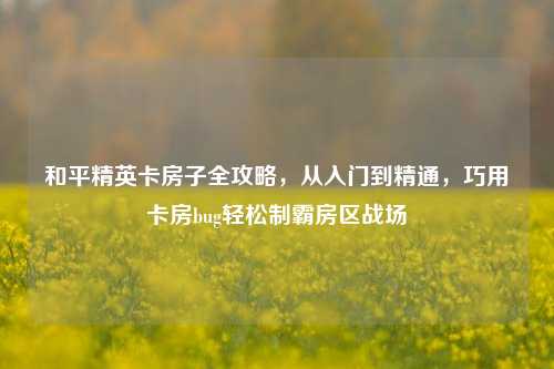 和平精英卡房子全攻略，从入门到精通，巧用卡房bug轻松制霸房区战场