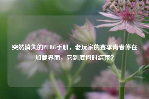 突然消失的PUBG手册，老玩家的赛季青春停在加载界面，它到底何时结束？