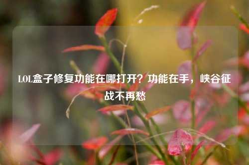 LOL盒子修复功能在哪打开？功能在手，峡谷征战不再愁