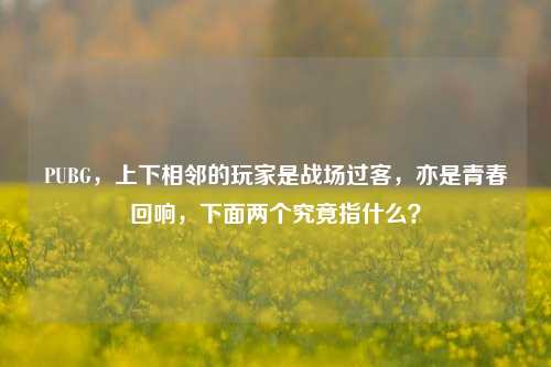 PUBG，上下相邻的玩家是战场过客，亦是青春回响，下面两个究竟指什么？