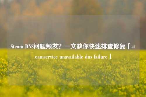 Steam DNS问题频发？一文教你快速排查修复「steamservice unavailable dns failure」
