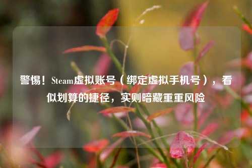警惕！Steam虚拟账号（绑定虚拟手机号），看似划算的捷径，实则暗藏重重风险