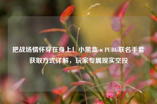 把战场情怀穿在身上！小黑盒×PUBG联名手套获取方式详解，玩家专属现实空投