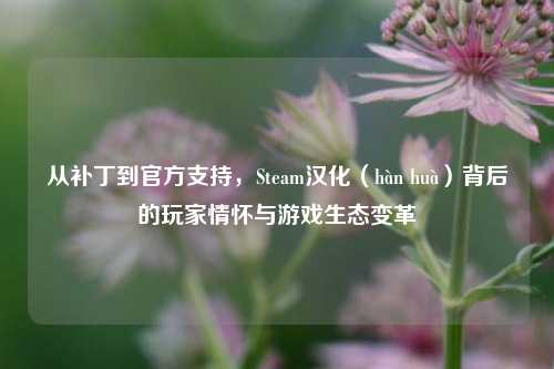从补丁到官方支持，Steam汉化（hàn huà）背后的玩家情怀与游戏生态变革