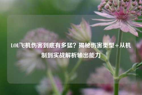 LOL飞机伤害到底有多猛？揭秘伤害类型+从机制到实战解析输出能力