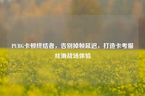 PUBG卡顿终结者，告别掉帧延迟，打造卡考服丝滑战场体验