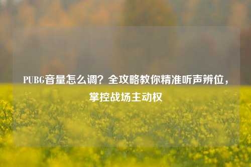 PUBG音量怎么调？全攻略教你精准听声辨位，掌控战场主动权