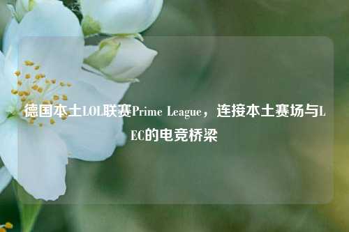 德国本土LOL联赛Prime League，连接本土赛场与LEC的电竞桥梁