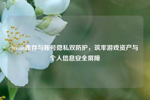 Steam库存与账号隐私双防护，筑牢游戏资产与个人信息安全屏障