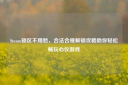 Steam锁区不用愁,合法合规解锁攻略助你轻松畅玩心仪游戏