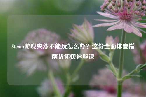 Steam游戏突然不能玩怎么办？这份全面排查指南帮你快速解决