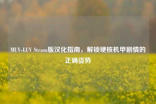 MUV-LUV Steam版汉化指南，解锁硬核机甲剧情的正确姿势