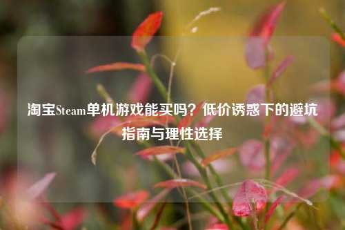 淘宝Steam单机游戏能买吗？低价诱惑下的避坑指南与理性选择