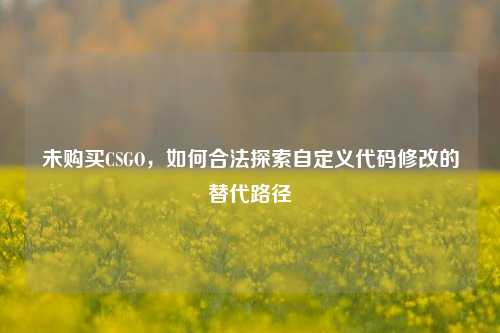 未购买CSGO,如何合法探索自定义代码修改的替代路径